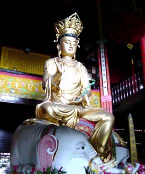 Hạnh Nguyện Vương Phổ Hiền